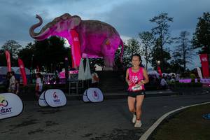 BIB: 
                            <button type="button" onclick="openModal(26529649)" class="btn btn-primary btn-sm float-right btn-popup" data-toggle="modal" data-target=".modal-high-quality">
                        <i class="fas fa-shopping-cart"></i> Add to Cart
                    </button>
                                            <button type="button" onclick="isThisMe(26529649, true)" class="btn btn-success btn-sm float-right btn-popup btn-isme hidden" data-toggle="tooltip" data-placement="bottom" title="นี่คือรูปของคุณใช่ไหม คลิกที่นี่เพื่อเอาเข้าอัลบั้ม">
                        <i class="fas fa-plus"></i> Add to album
                    </button>
                    <button type="button" onclick="isThisMe(26529649, false)" class="btn btn-warning btn-sm float-right btn-popup btn-isnotme hidden">
                        <i class="fas fa-ban"></i> Remove from album
                    </button>